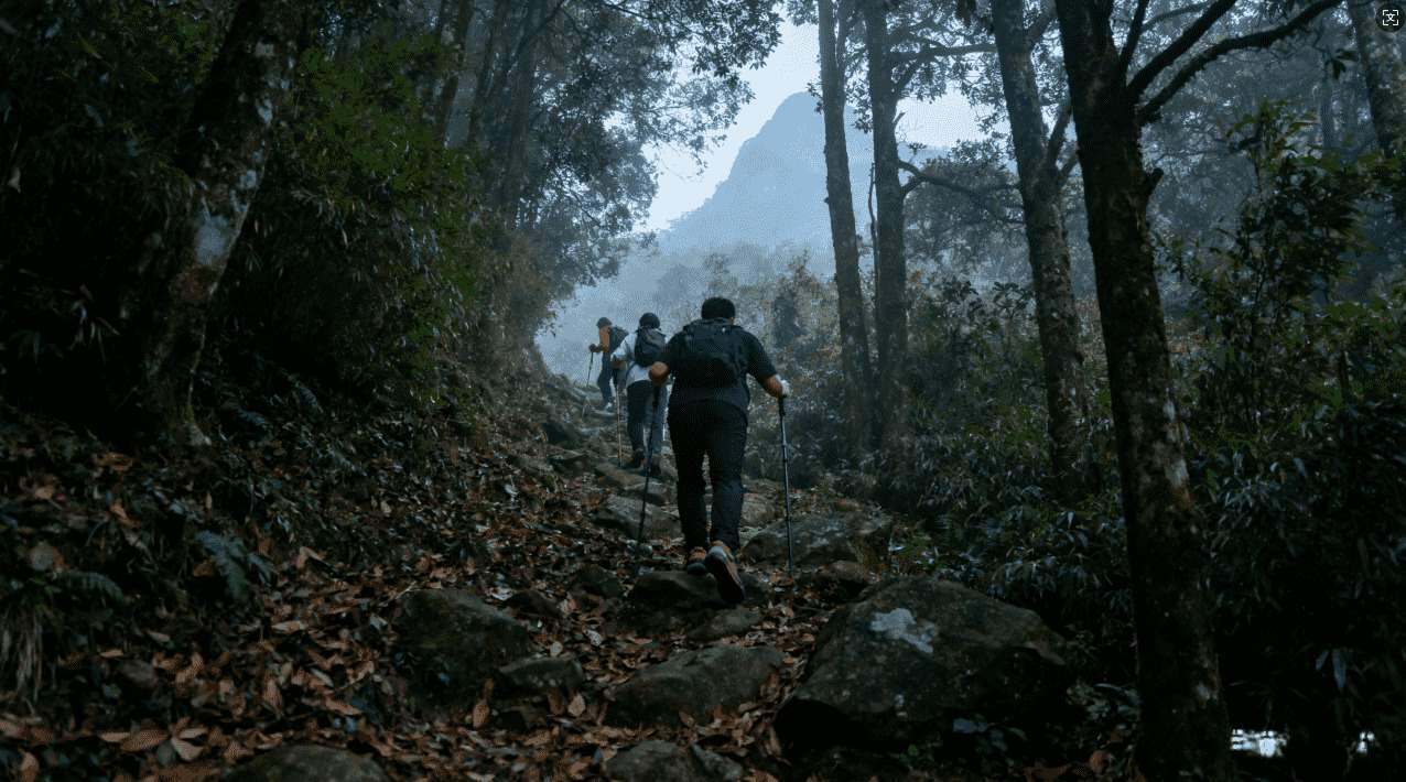 手机版坚果加速器全面提升网络体验